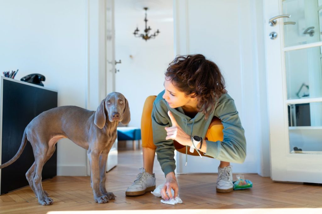 Young woman potty training a puppy