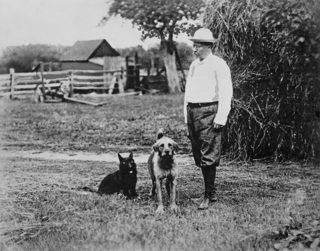 American statesman and politician Theodore Roosevelt (1858 – 1919), 26th President of the United States, with his dogs at a farm, US, 1905.