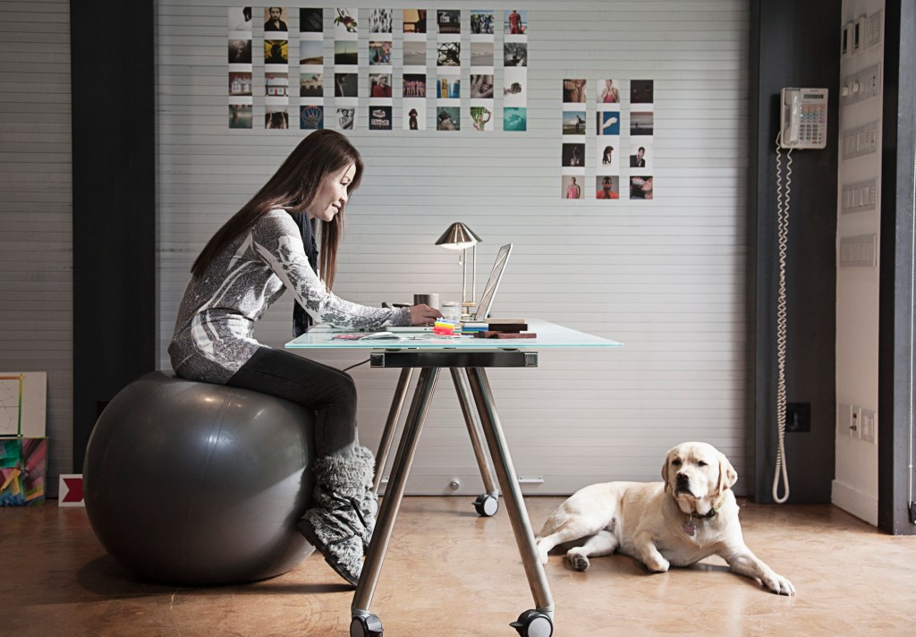 Dog at an office