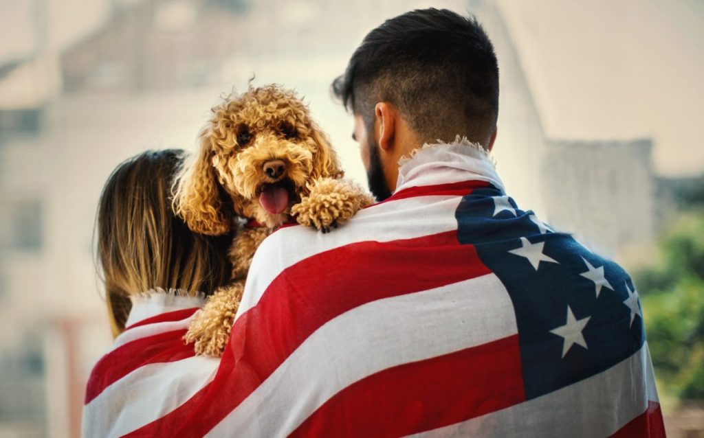 Rear view of young couple in love wrapped in American flag on July 4th. They are looking through window and holding their dog. Focus on dog.