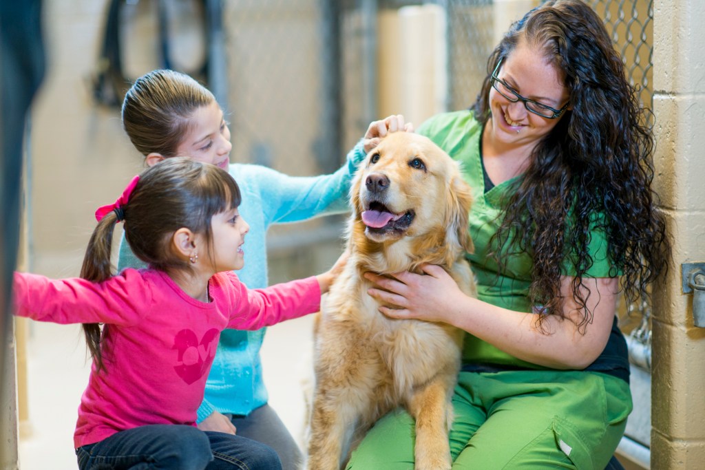 Kids reunited with Golden Retriever dog at animal shelter on July 5