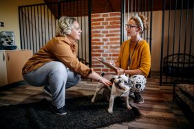 woman at dog shelter talking with employee