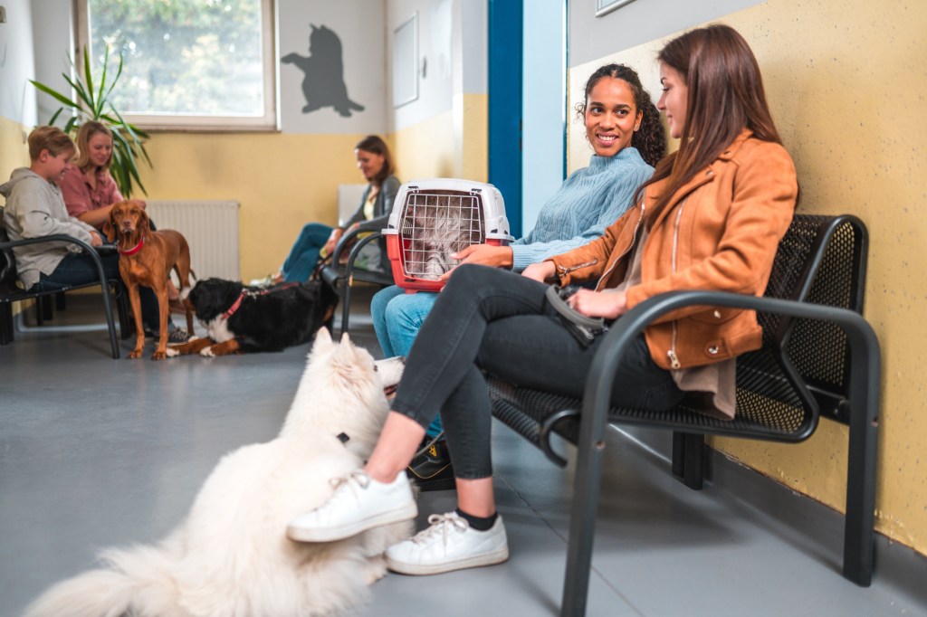 Pet owners with their animals at a dog boarding facility.