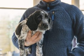 man holding small dog