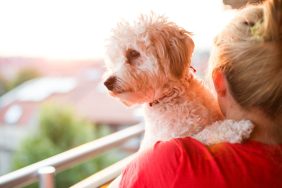 woman carrying dog over shoulder