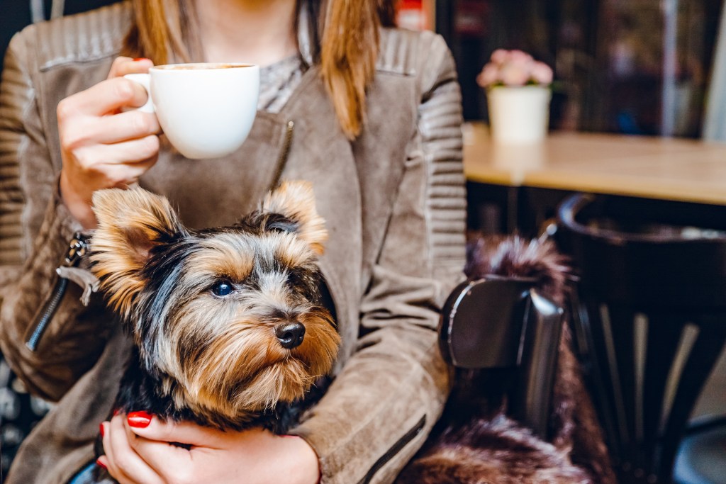 Coffee time with dog.