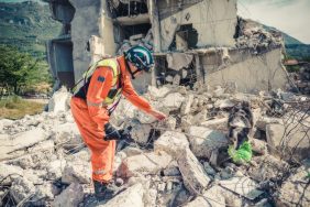 A canine, similar to FEMA's disaster dogs, looking for human remains at a natural disaster site.