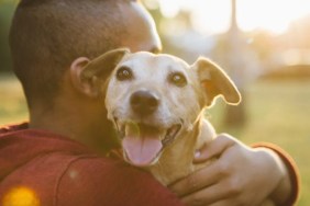 Rear view of a young man hugging his small dog, a displaced Gaza teen and his dogs find comfort in each other