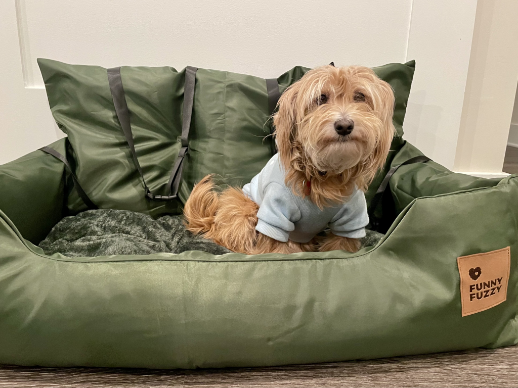 Goldie Hawn sitting in the FunnyFuzzy product.