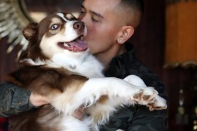 Australian Shepherd dog with a man, like the tourist who fell in love with a dog in North Carolina.