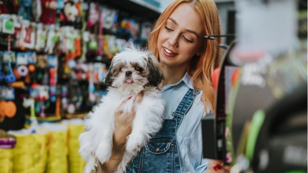 A woman in a pet store with a dog, Vermont is going to ban pet store sales of dogs.