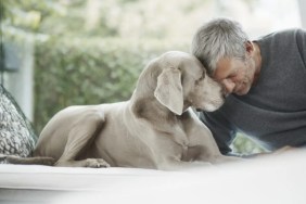 Mature man close to dog.