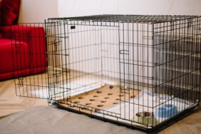 dog crate