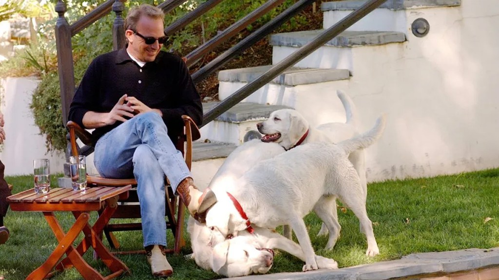 kevin costner new dog