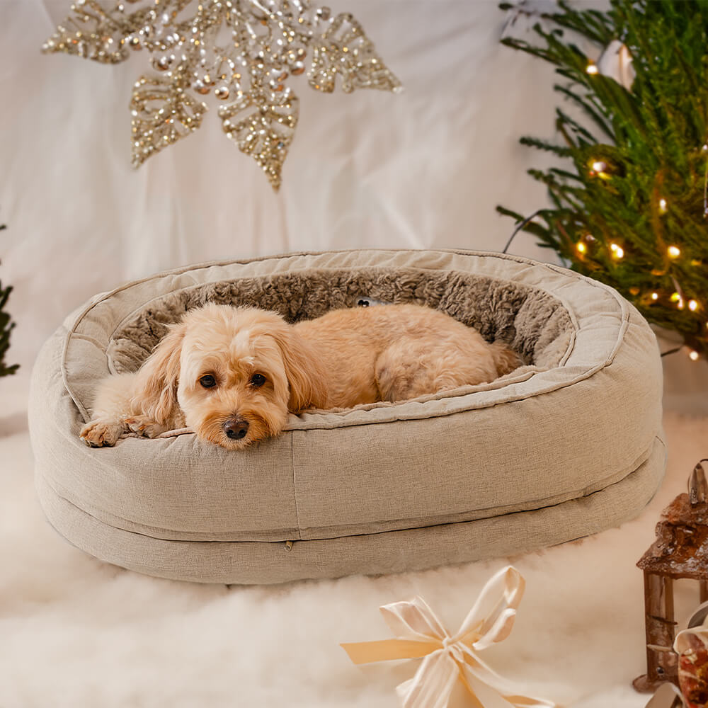 Poodle in FunnyFuzzy dog bed donut product.