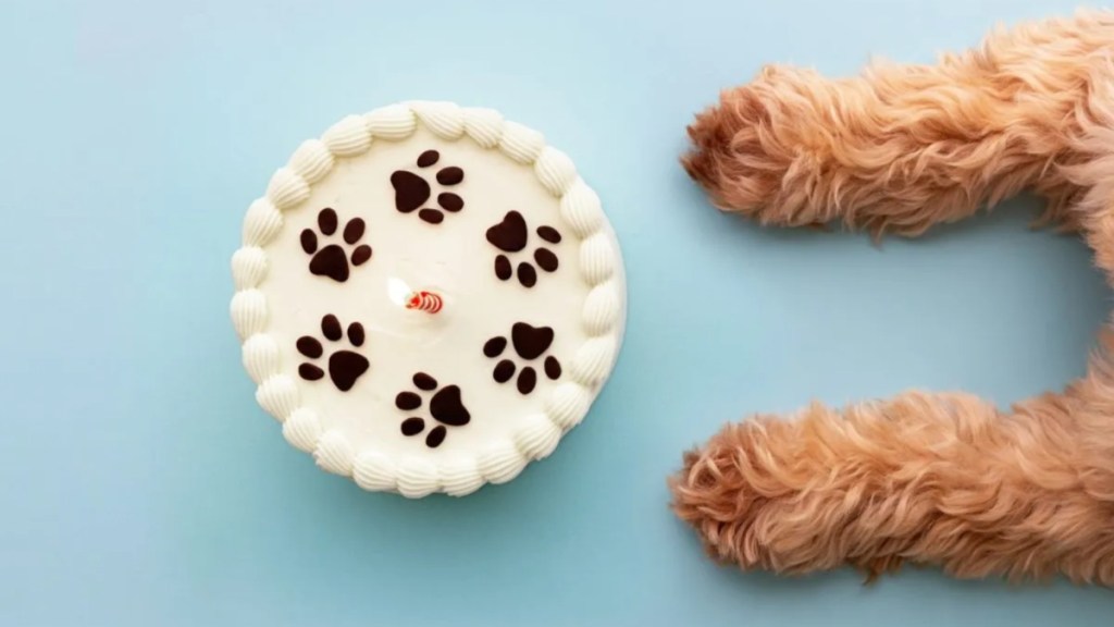 A cake and a dog's paws, a couple received a realistic cake of their pet dog for their joint birthday celebration in Oxford, U.K.