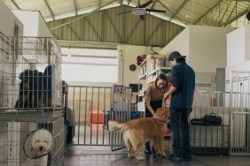 A dog rescue, Oregon Dos Rescue has moved to a larger and improved facility.