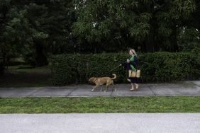 Woman walking her leashed dog on the side walk, a Chicago police officer shot a dog who broke loose from their leash