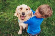 Young boy playing with a Golden Retriever, one of the friendliest dog breeds, outside in the grass