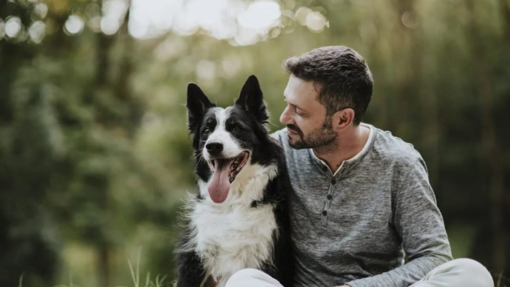 A Border Collie dog with a man in a forest, like the dog whose owner discovered a dinosaur skeleton while out on a walk.