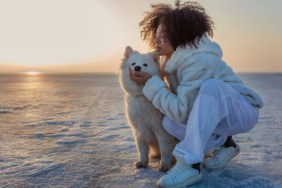 A dog with a woman on ice, like the Michigan incident in which a woman and her dog were rescued after falling into the water.