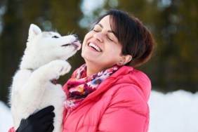 A Husky with a woman, like the missing dog in Ohio who got reunited with his owner.