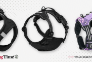 Best Dog Harnesses of 2024