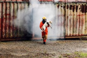 Firefighter to save dog in fire and smoke. Rescue Team or Firefighters save lives dog from fire. Firefighter or Emergency team rescue saving life animal from fire