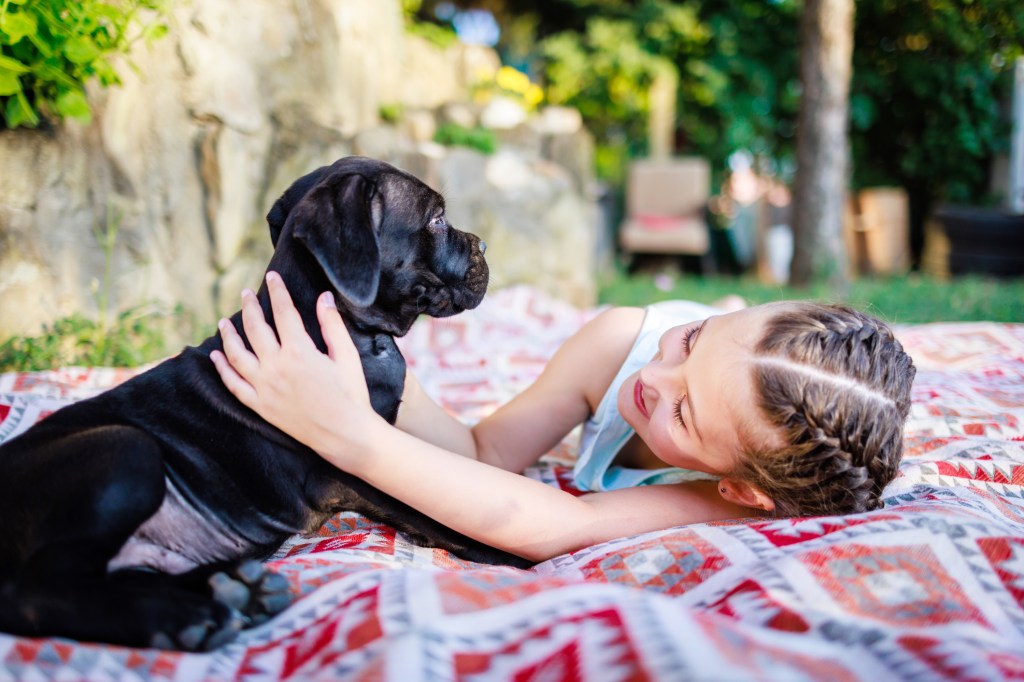 Little girl cuddling Cane Corso puppy while lying down in back yard.