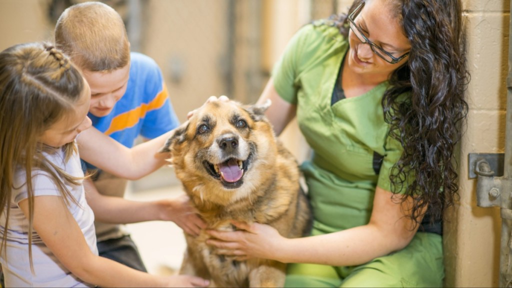 A brother and sister are adopting a dog from the animal shelter.