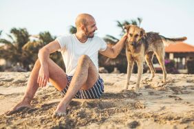 Man petting stray dog, similar to the one who followed a Philadelphia man on his vacation at Puerto Rico.