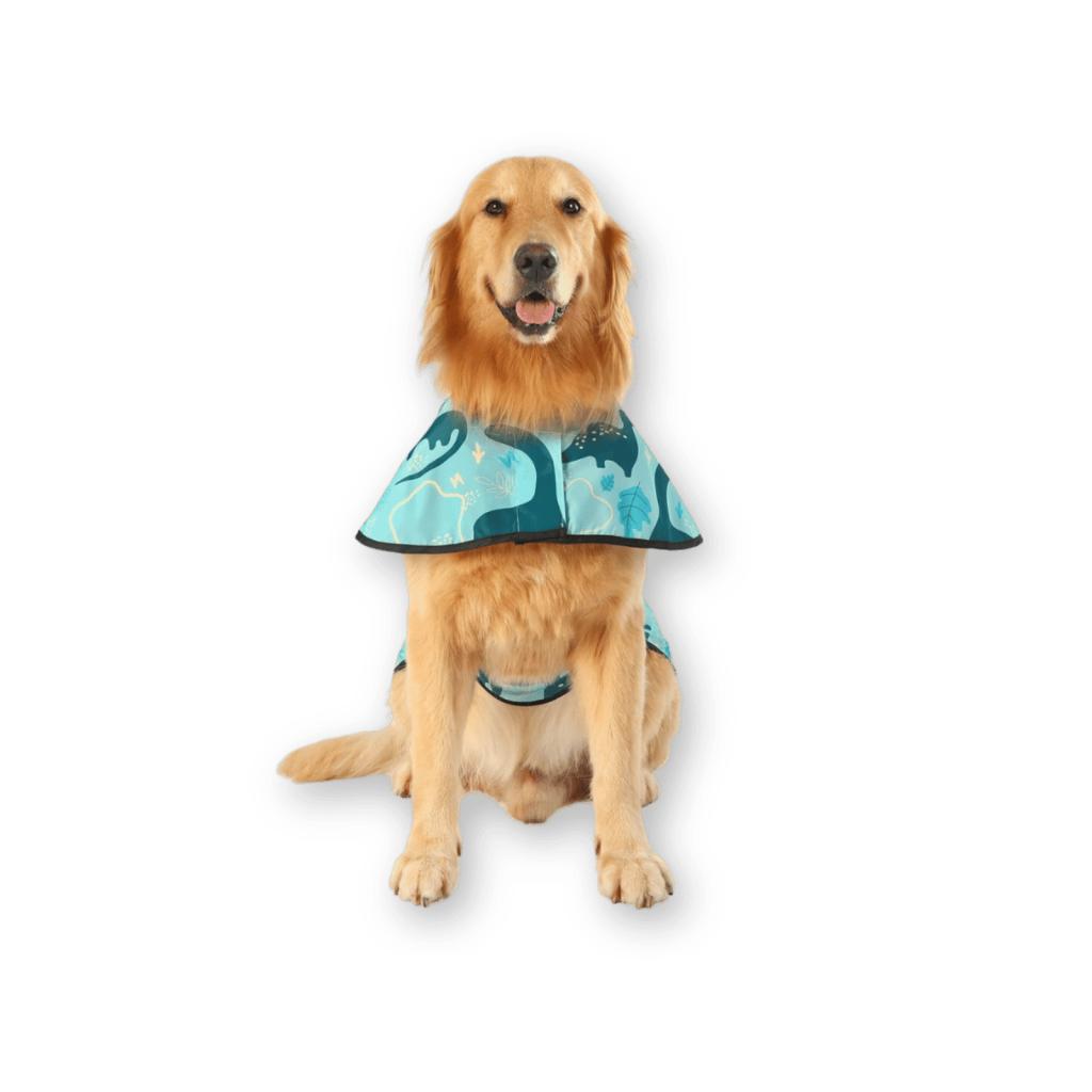 HDE_dog_raincoat HDE Dog Raincoat