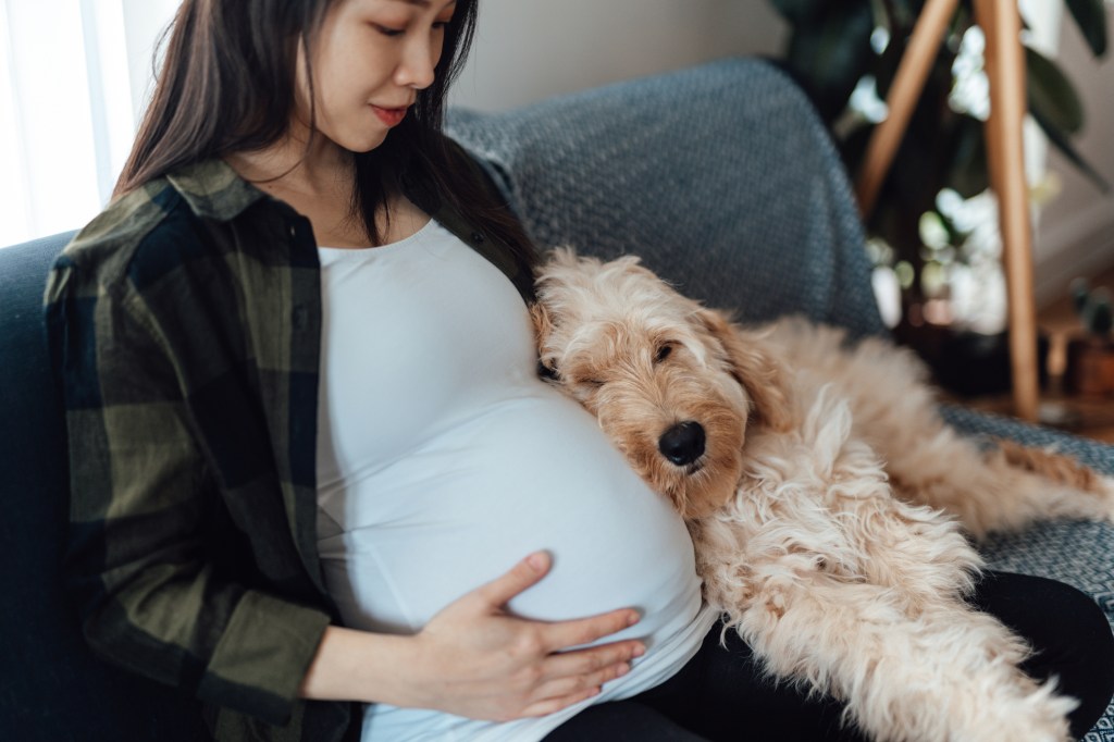 Pregnant woman sitting on sofa with her dog cuddled up beside her.