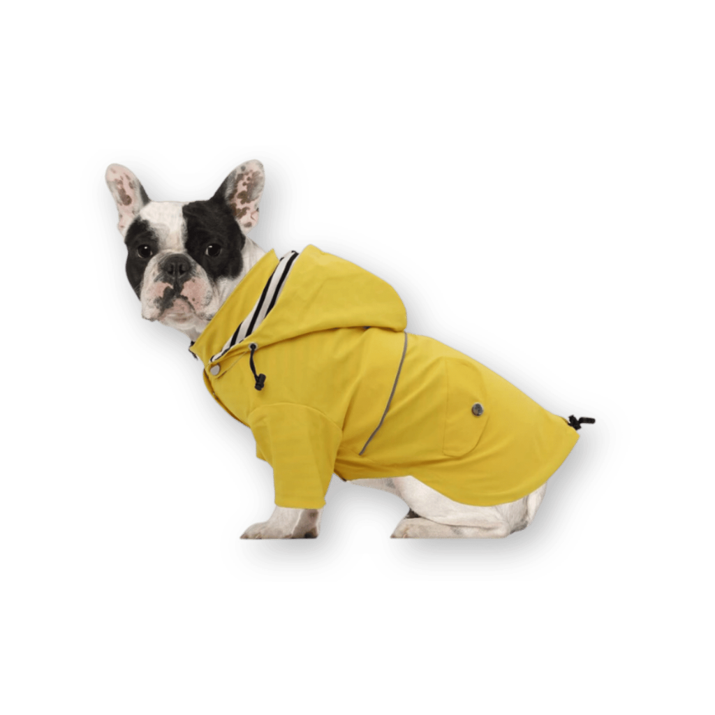 Morezi_dog_raincoat Morezi Dog Raincoat