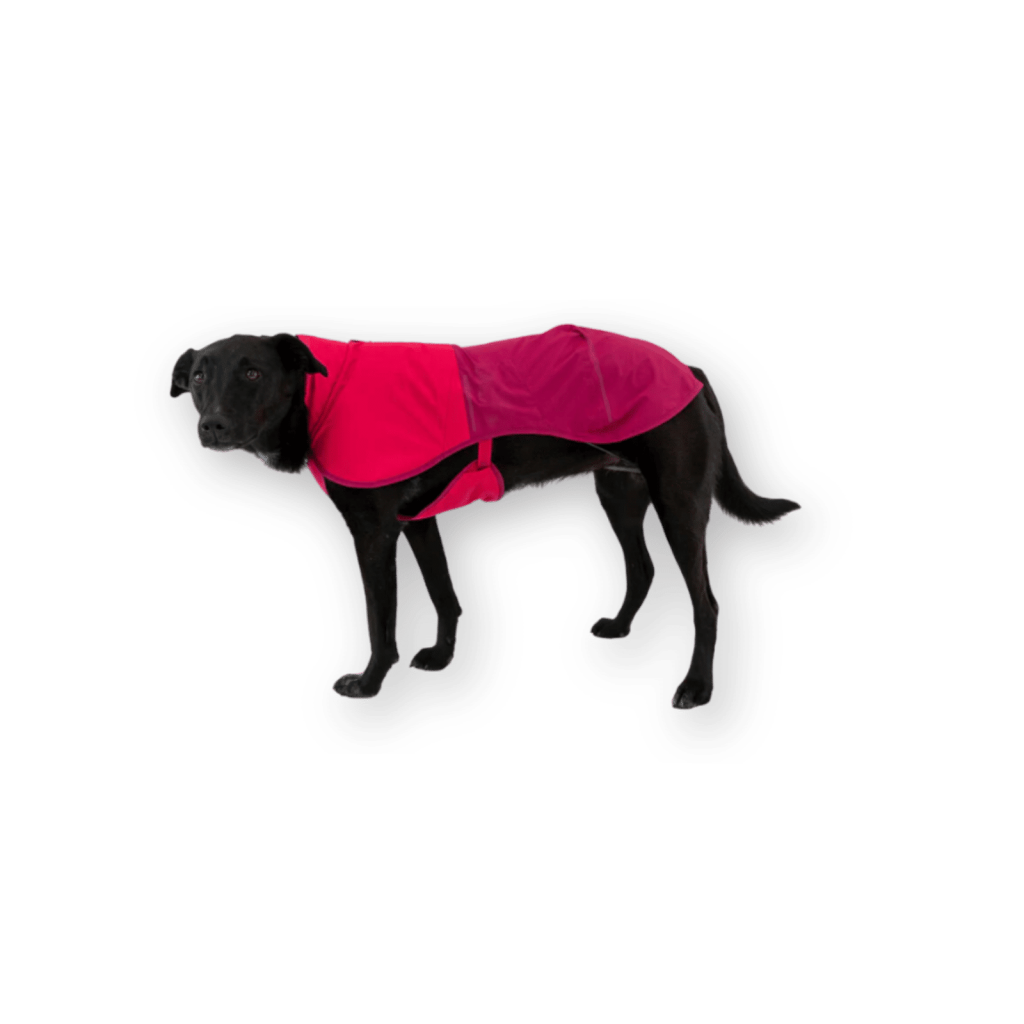 Ruffwear_dograincoat Ruffwear Dog Raincoat