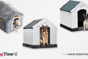 Best Dog Houses