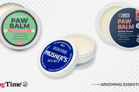 best dog paw balms