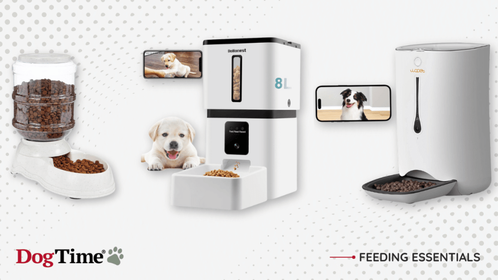 best automatic dog feeders