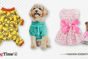 best dog clothes