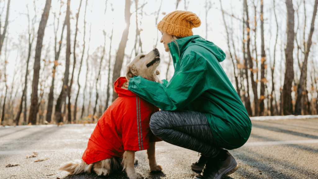 dog wearing red dress