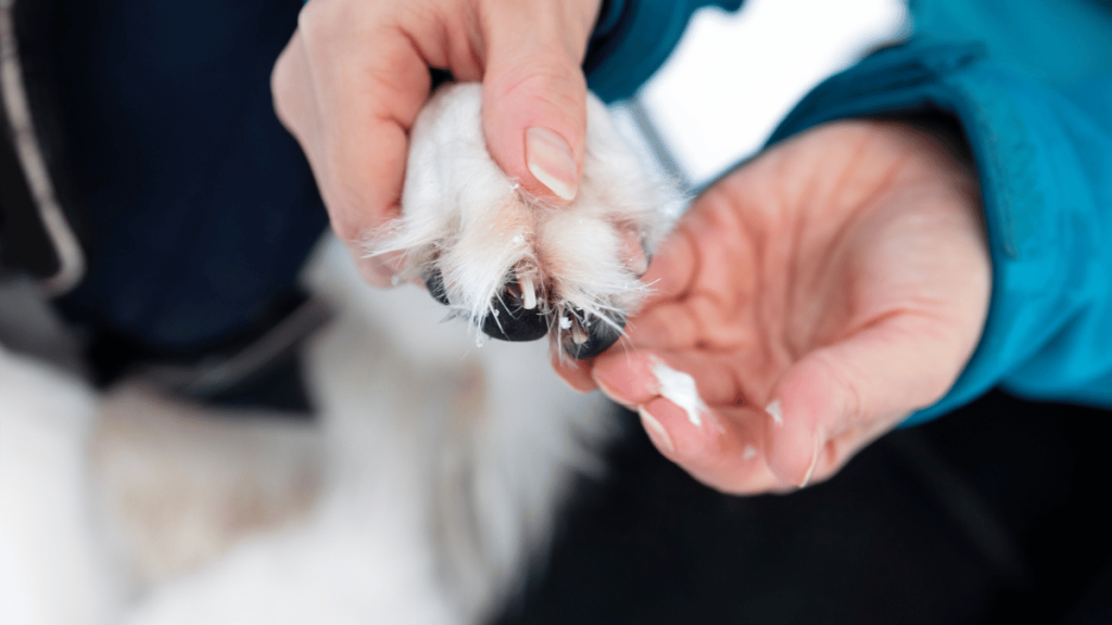 dog paw balm for flaky paws