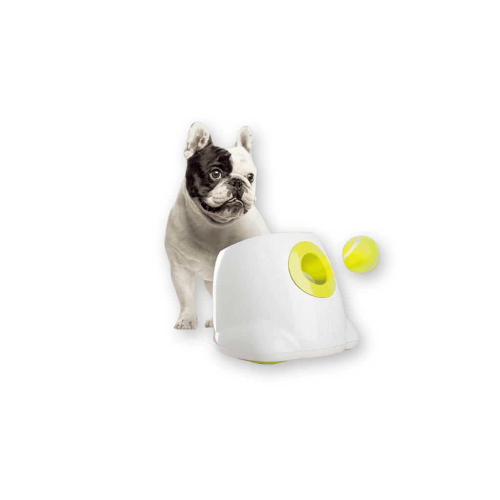 ALL FOR PAWS Dog Automatic Ball Launcher Best Dog Ball Launcher by ALL FOR PAWS