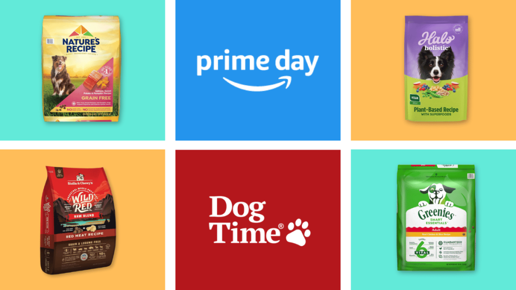 Amazon Prime Day 2024