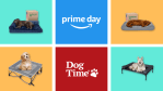 Best Dog Bed Prime Day Deals