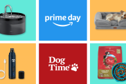 Amazon Prime Day 2024 and DogTime