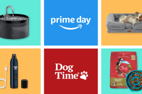 Amazon Prime Day 2024 and DogTime