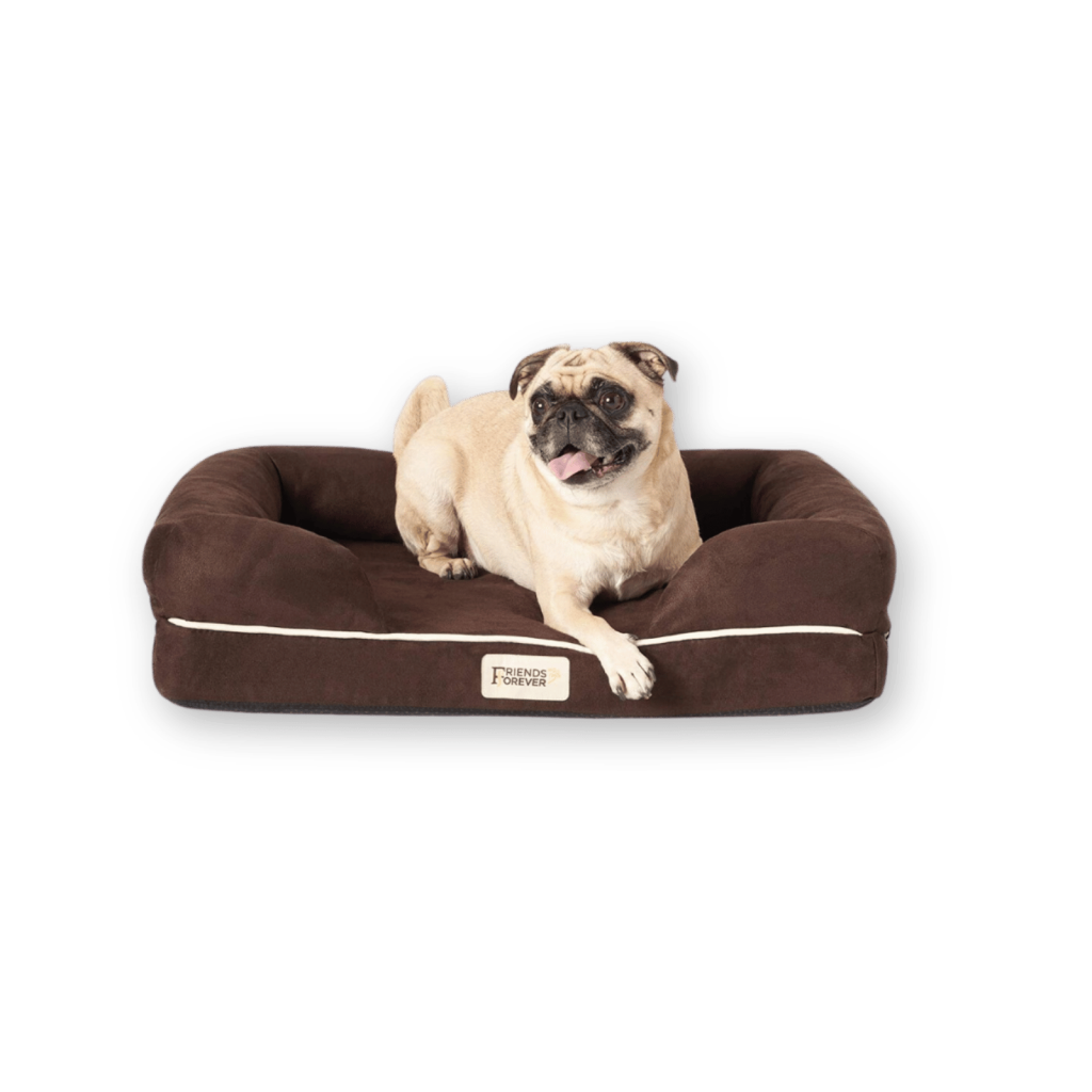 Small dog beds - prime day 2024