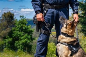 Police officer with his German Shepherd K-9 dog. Police dog looks similar to Archer, who died after tracking a suspect in 90-degree weather in the middle of a heatwave in Florida.