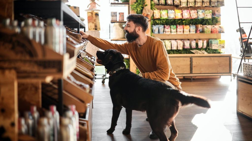 Young man and his dog explore the pet store, similar to Woof Gang Bakery & Grooming, which is set to open new locations in Kentucky very soon.