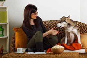 Woman playing with her dog, a Siberian Husky similar to the one who saved her owner's life by alerting her about a carbon monoxide leak in her apartment in Marion, Indiana.